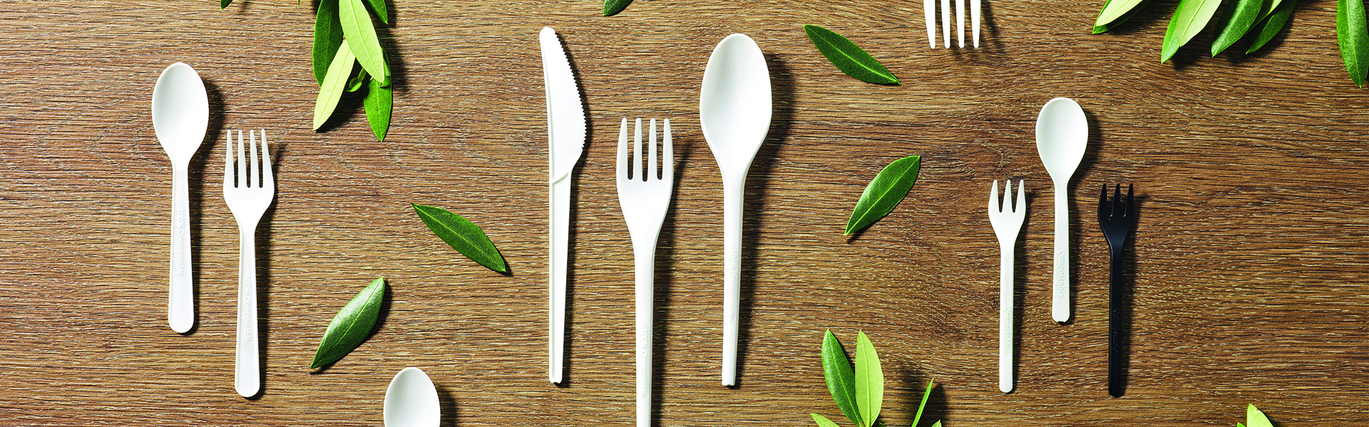 Compostable Tableware