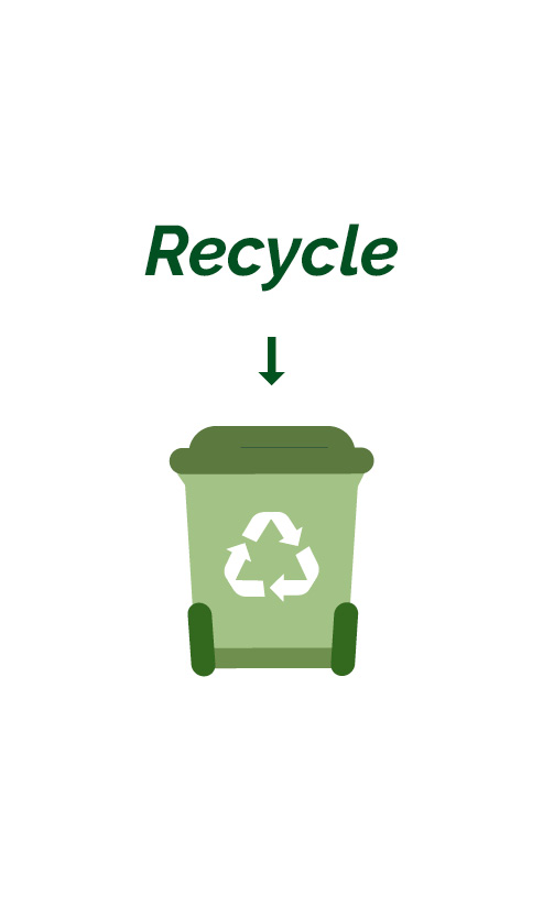Recyclable Tableware